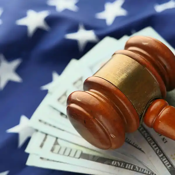 gov-law Government Laws